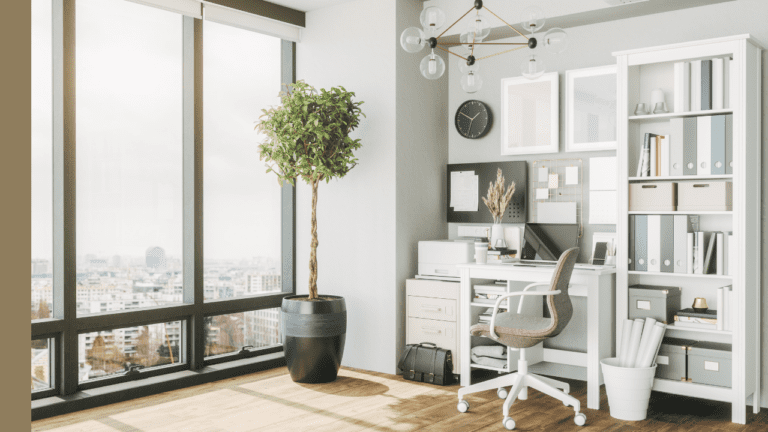 furniture store in asheville