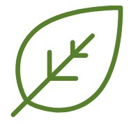 Green Leaf Icon